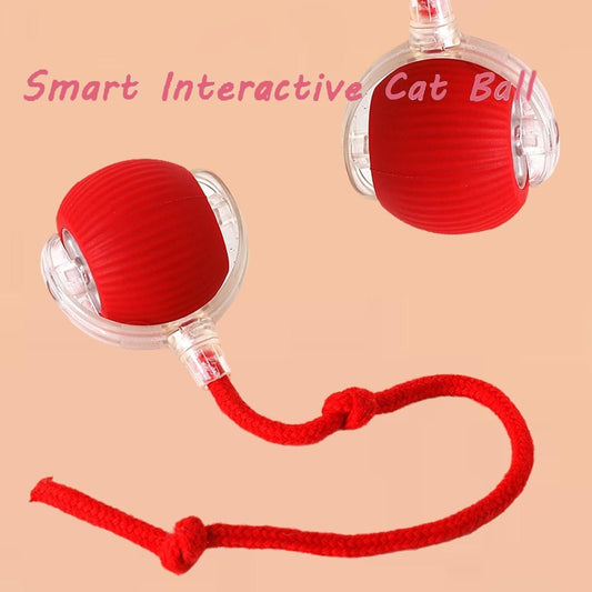 Cat Ball Toy