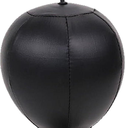 Speed Ball for Punching & Stress Relief