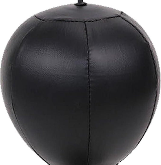 Speed Ball for Punching & Stress Relief